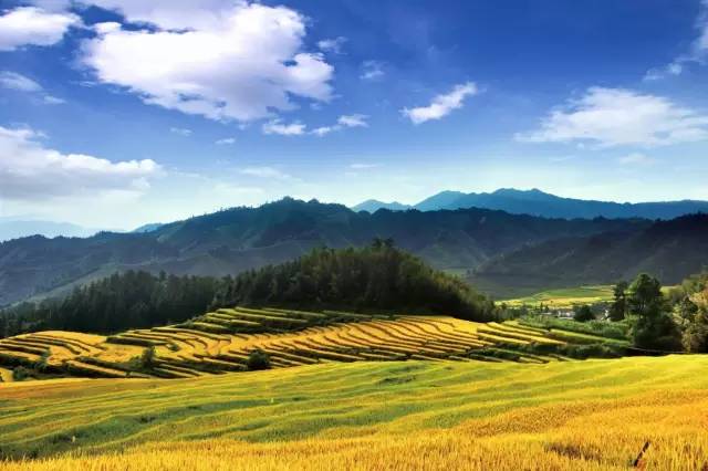 涓嶈兘澶栧嚭娓哥帺瀹呭湪瀹堕噷,涓嶈兘澶栧嚭鏃呰鍦ㄥ涔熷緢蹇箰
