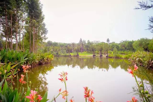 〈花开园〉顺德一间靓到“氹”一声的花园食府，赏花喂牛亲子
