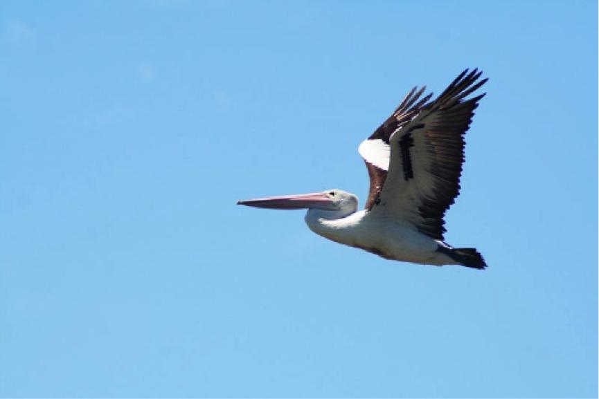 十一江西自驾游线路推荐,十一河北出发自驾游线路推荐