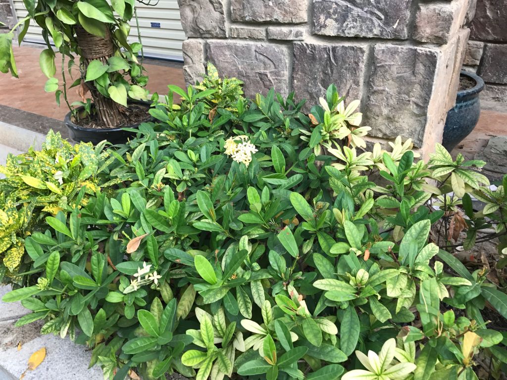 iphone7plus评测,苹果7plus测评还值得购买吗