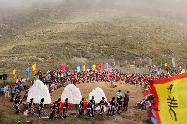 奇葩牧场|不养牛不养羊,居然养这个?