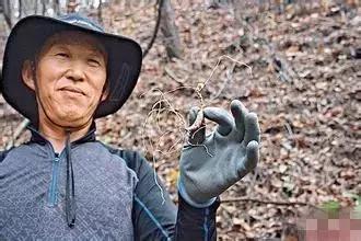 韩妆化妆品有哪些,韩妆护肤品没什么效果