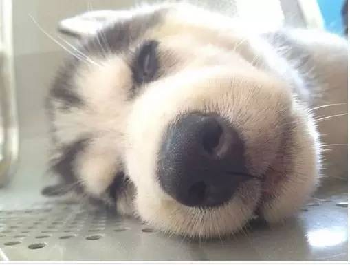 帮你“操翻”老板的装逼指南！