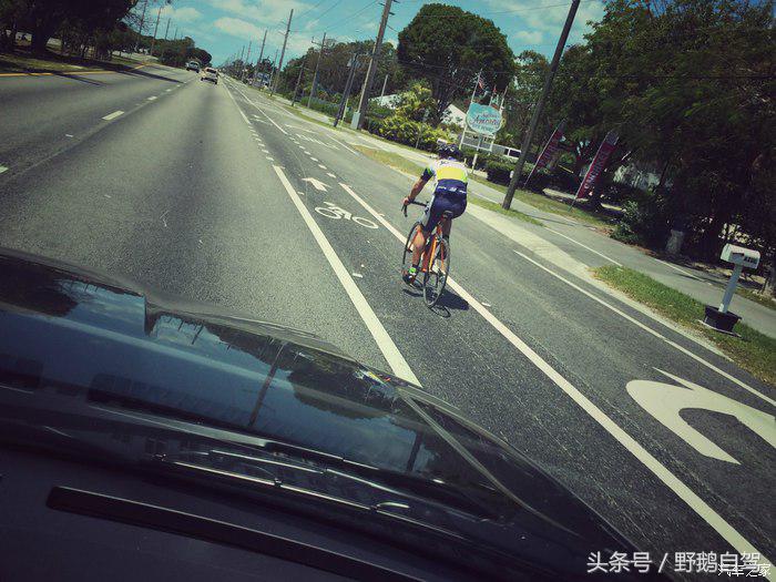 野鹅旅行,野鹅自驾无人区