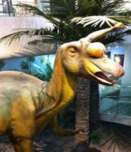 山东蓬莱海洋极地世界门票多少钱,山东郓城水浒城现在门票多少钱