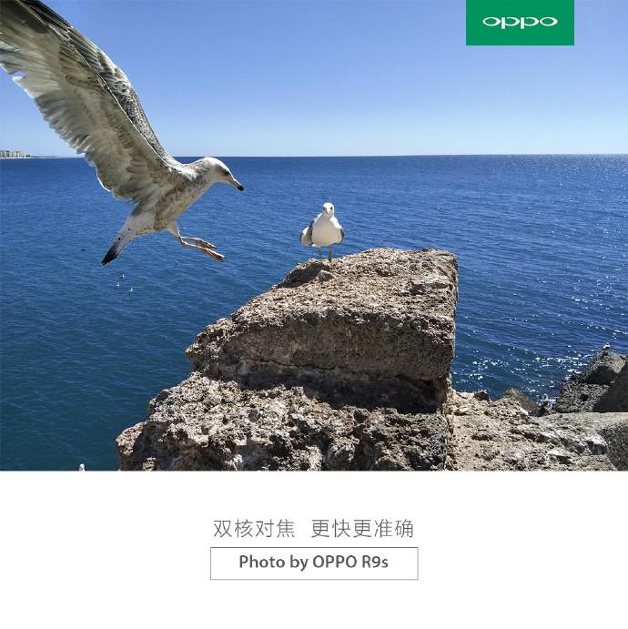oppor9s指纹键和r9sk通用吗,oppor9s屏幕带指纹键