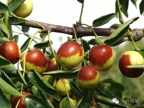 Hi~观前，我是黄埭，咱们12号见！我有一大堆好东西！