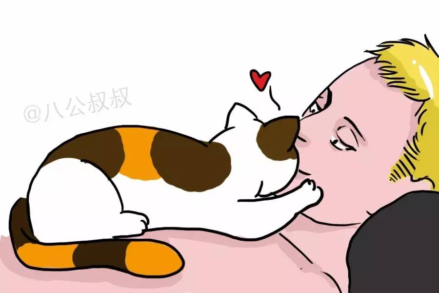 猫咪一直寻求主人抚摸是怎么回事,猫咪原来很粘人突然不亲近主人了