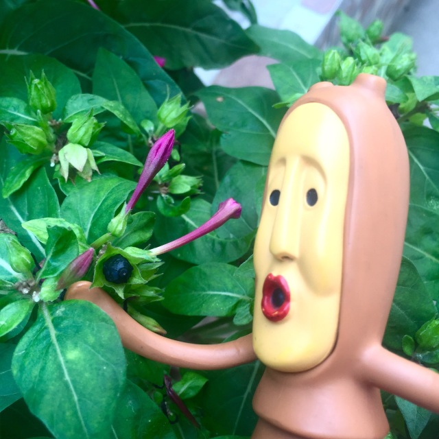 挑战你们的审美,挑战你的审美