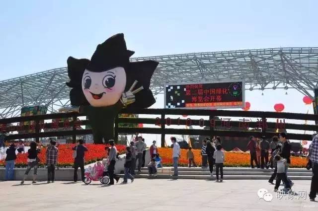 横空出世河南,横空出世最新消息