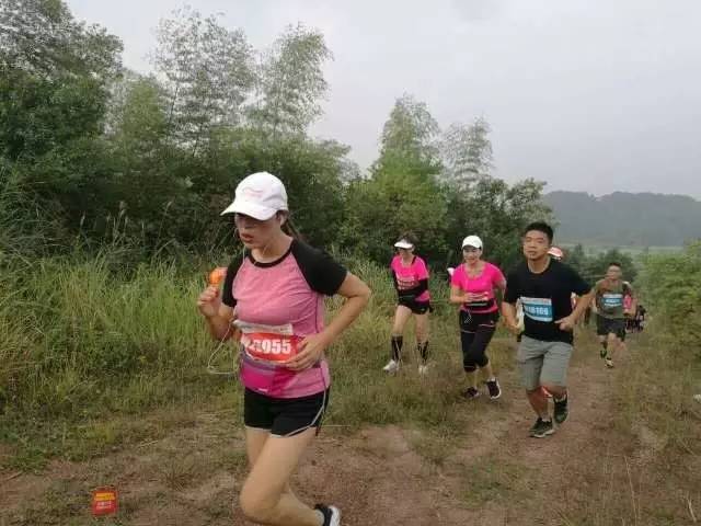 荆溪围棋谷,荆溪花海美景