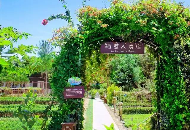 三亚亚龙湾海景酒店第一名,红树林亚龙湾酒店亲子酒店