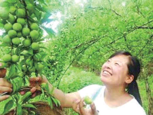 黔货出山黔西,黔货出山走出国门