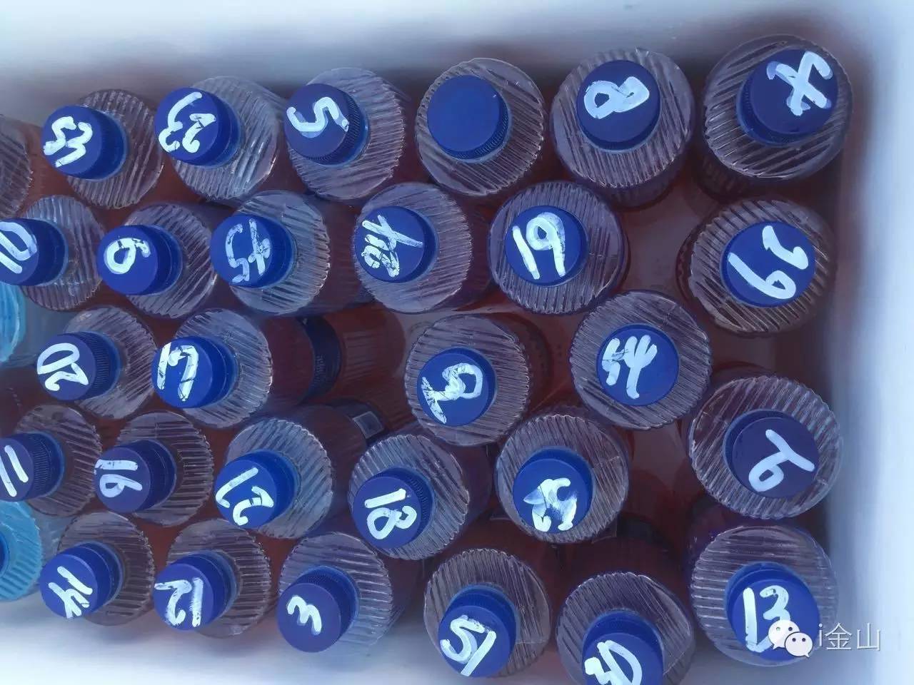 上海申鑫金山体育场,申鑫金山体育