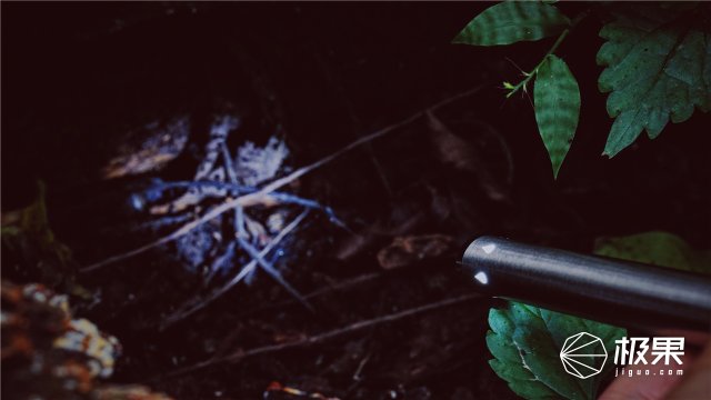 这盒子还没手掌大，里面的工具却比工具箱还全，野外保命全靠它