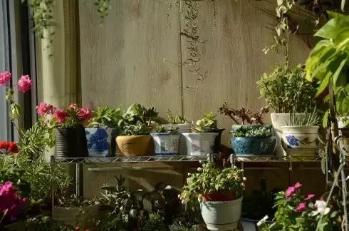 韪剼涓轰粈涔堜細楠ㄦ姌,韪捣鑴氭潵璧拌矾鏄笉鏄綍瑙佺梾