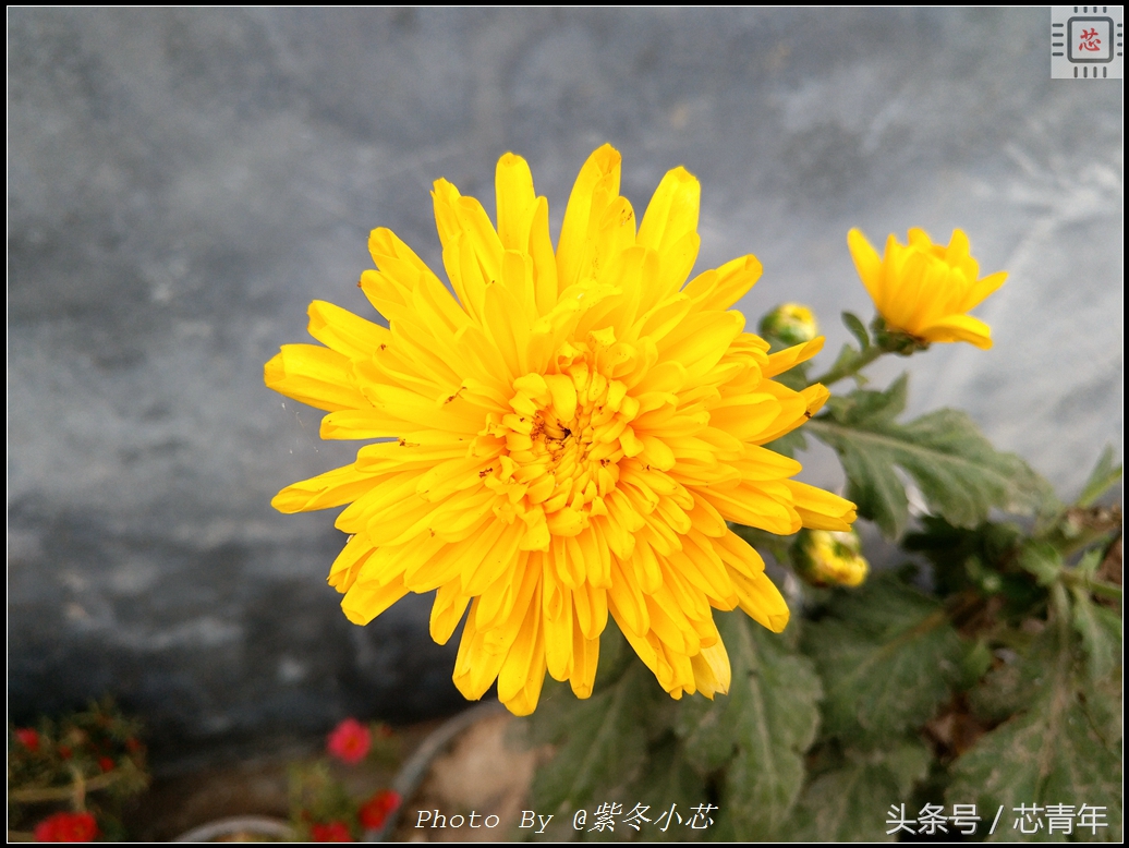 乐Pro3买了就后悔？看了这篇用户评测之后再决定吧