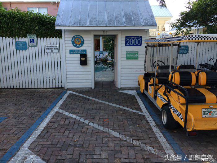 野鹅旅行,野鹅自驾无人区