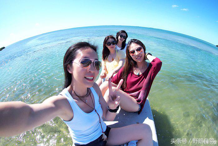 野鹅旅行,野鹅自驾无人区