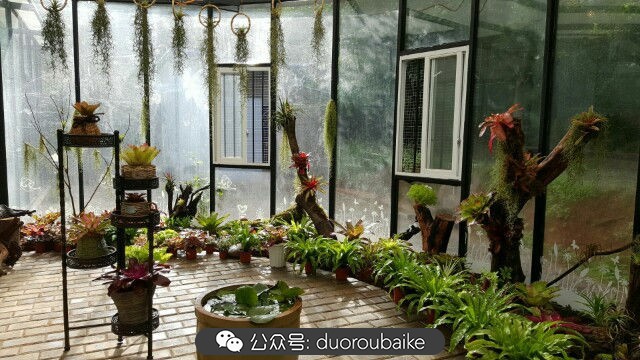 向阳的玻璃花房,玻璃花房设计建造