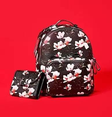 北极狐双肩包400与900元的区别,北极狐双肩包最经典