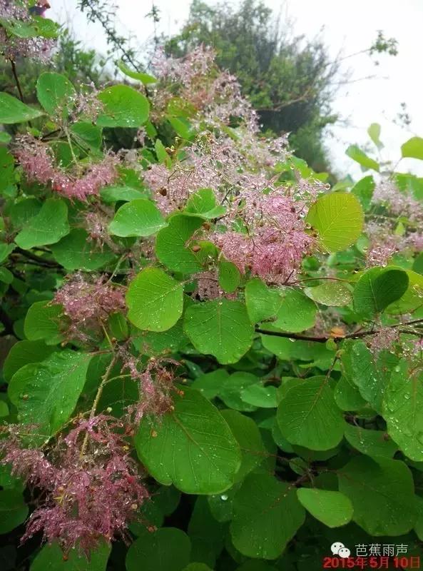 红晕初染看太行(徒步笔记19)——辉县薄壁流水沟穿越