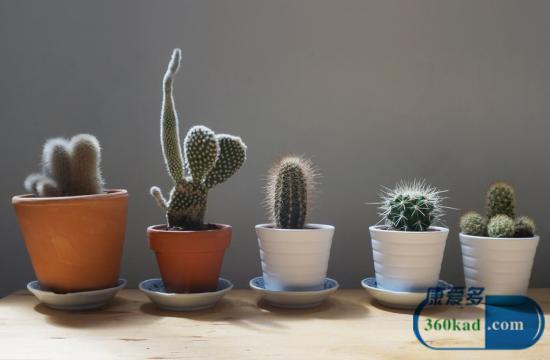 治手足癣最有效的偏方,治手足癣最简单有效的方法