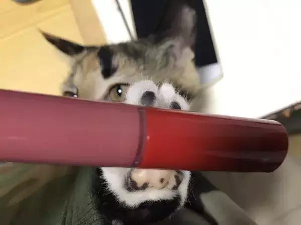 真正好用又不贵的护肤品,从平价到小贵护肤品