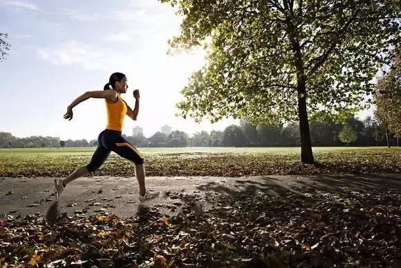 十二款运动app，强势拒绝贴秋膘