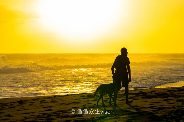 揭秘金银岛宝藏之谜,金银岛神秘之谜