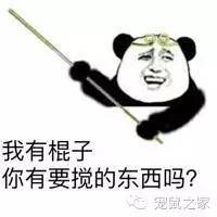 豚鼠各类饲养装备优缺点汇总之上篇