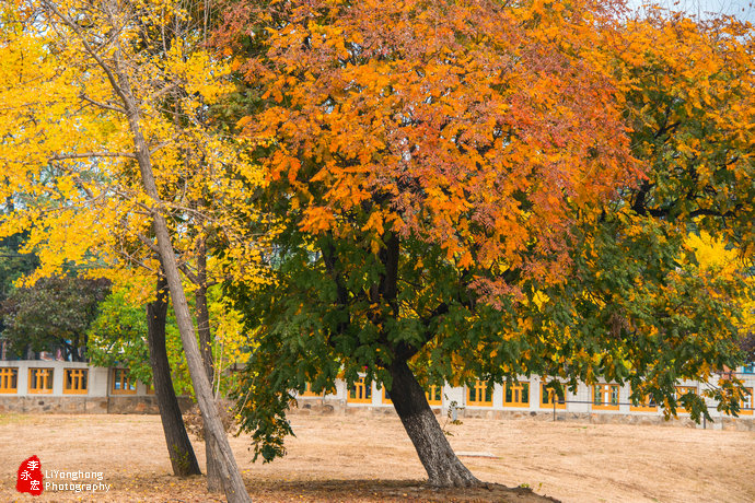 深秋的旅顺太阳沟,大连旅顺太阳沟秋景说说