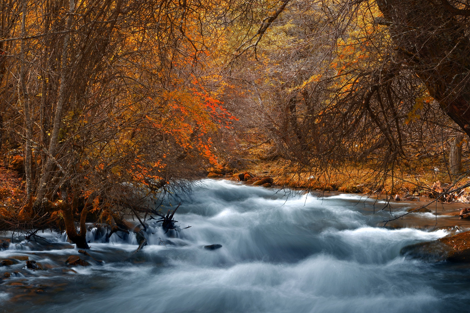 四川雅安宝兴夹金山天气预报,赞美宝兴夹金山红叶
