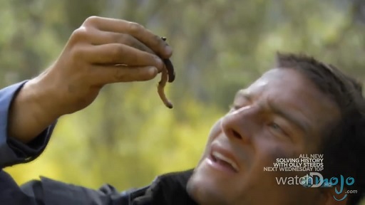 贝爷吃过最恶心的虫子,贝爷吃过十大恶心虫子