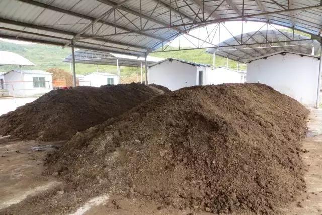 农村搭方便处理鸡粪的鸡舍,鸡场的鸡粪怎么处理才不臭