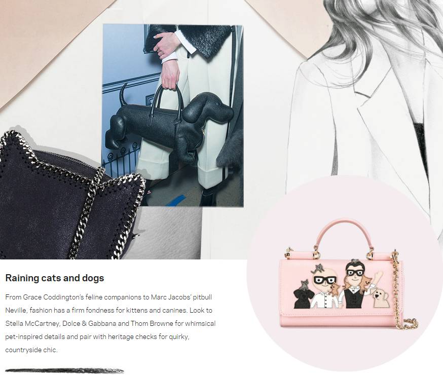 最热门包包,层次最多的包包