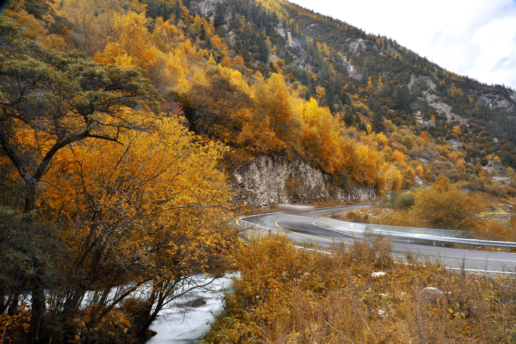 四川雅安宝兴夹金山天气预报,赞美宝兴夹金山红叶