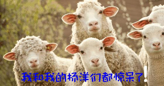 重庆方言搞笑外国人,重庆区县搞笑口音