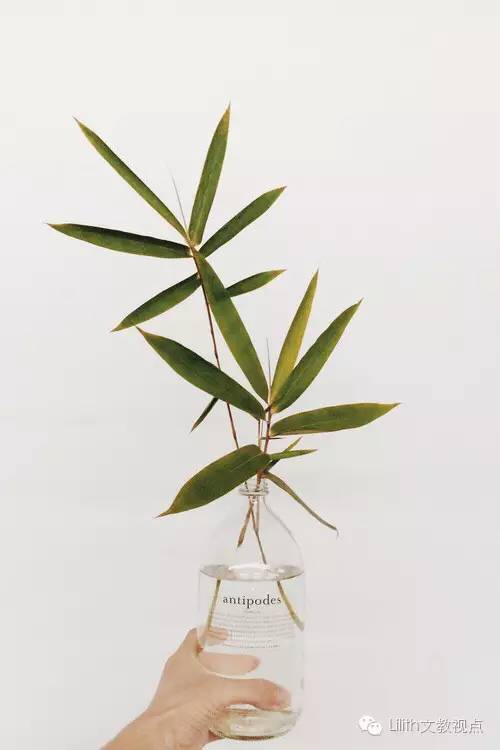 鍙ゆ椂鍊欎腑鍥界殑鍖犲績鏂囧寲,涓浗浼犵粺鍖犲績