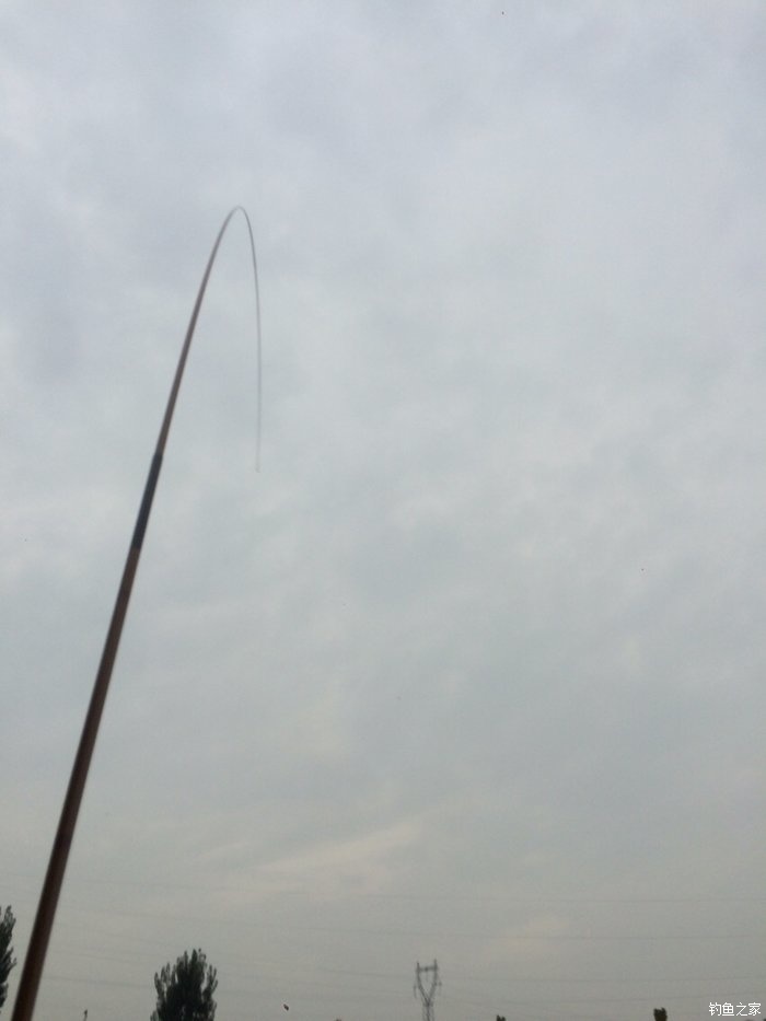 新手入门鱼竿推荐品牌,新手入门推荐鱼竿