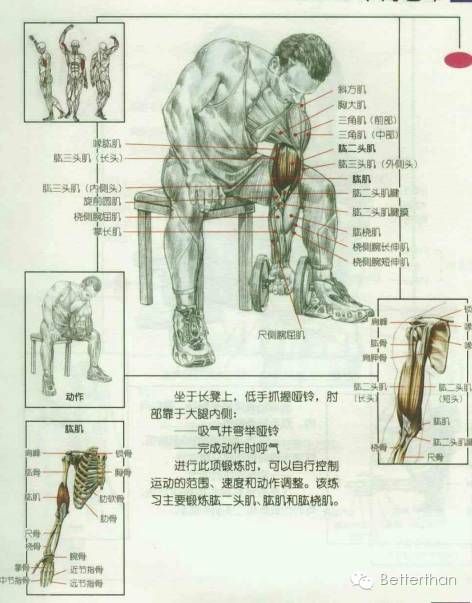 最全哑铃教学,手臂哑铃肌肉训练10个动作图解