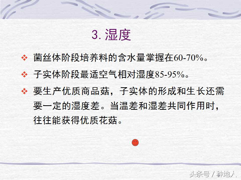 香菇栽培实用技术教案,屋顶香菇栽培