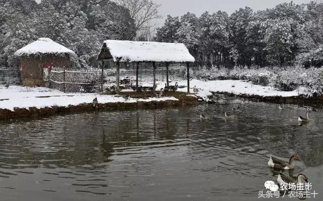 成功的休闲农庄需要具备哪些条件,做休闲农庄必须考虑的几个问题