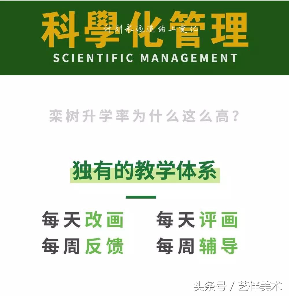 栾树画室——2020届招生简章北京必看画室之一