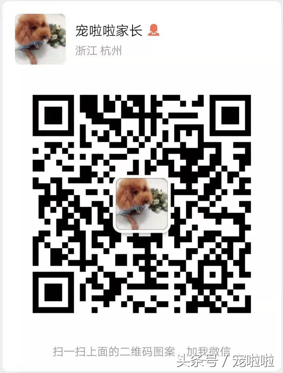 鍘熷垱鐙楃嫍琛ｆ湇,鍘熷垱鐙楃嫍鎻掔敾涓汉缁樼敾鐖卞ソ