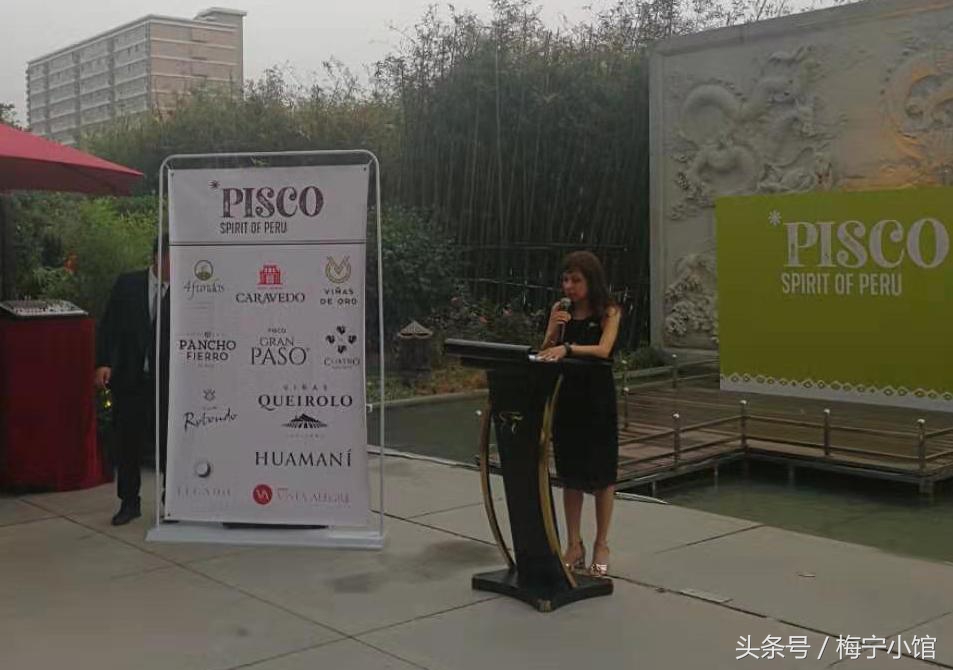 Salud~!秘鲁大使馆皮斯科之夜