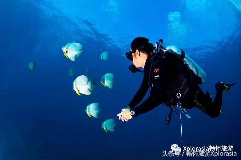 去热浪岛要准备什么,去热浪岛穿什么