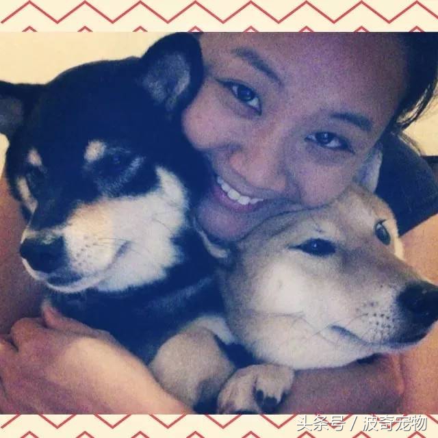 狗狗和你亲的几个表现,当你和你家的狗对视