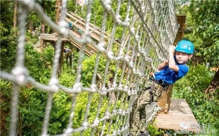 成功的休闲农庄需要具备哪些条件,做休闲农庄必须考虑的几个问题