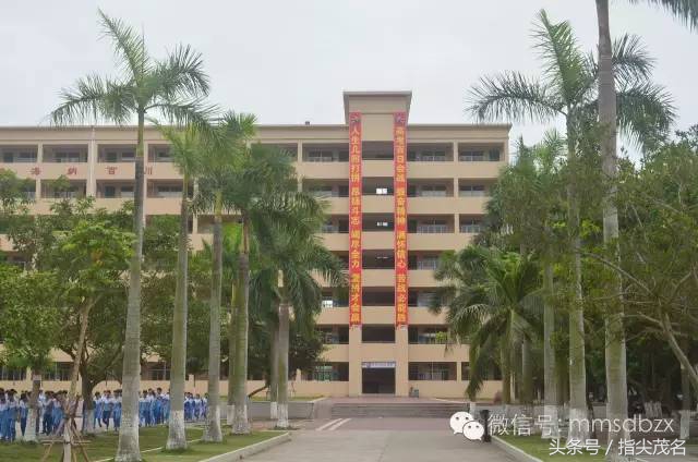 电白中学招生链接,2020年电白中学网上报名